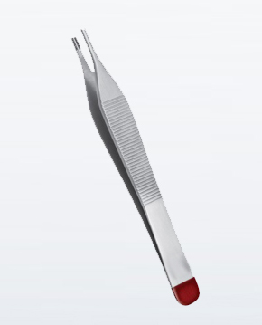 Dental Instruments